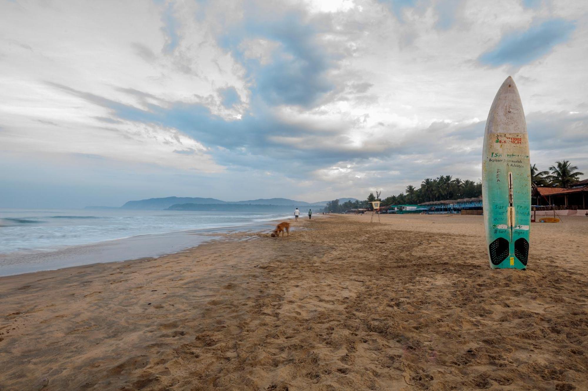 Agonda Cottages Εξωτερικό φωτογραφία